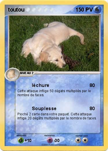 Pokemon toutou