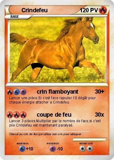 Pokemon Crindefeu