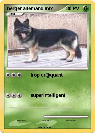 Pokemon berger allemand mix