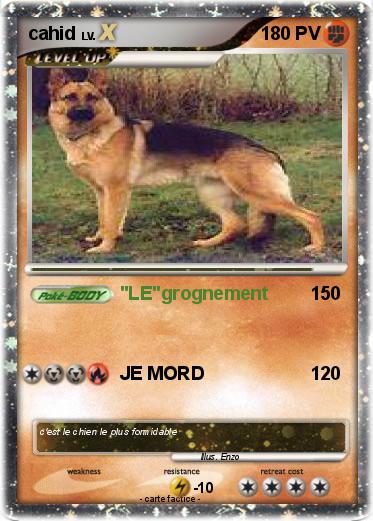 Pokemon cahid