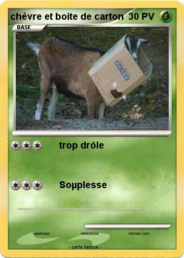 Pokemon chèvre et boite de carton