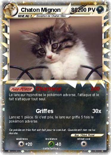 Pokemon Chaton Mignon       80