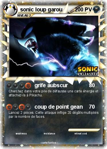 Pokemon sonic loup garou