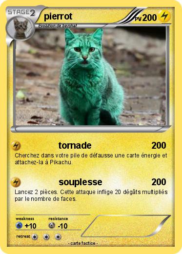 Pokemon pierrot