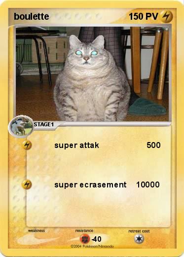 Pokemon boulette