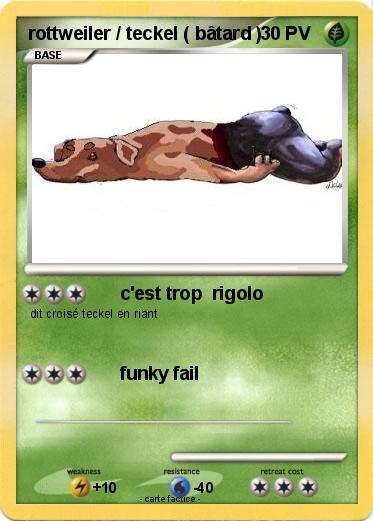 Pokemon rottweiler / teckel ( bâtard )