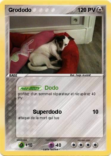 Pokemon Grododo