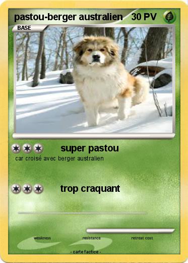 Pokemon pastou-berger australien