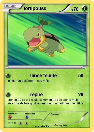 Pokemon Tortipouss
