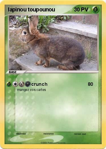 Pokemon lapinou toupounou