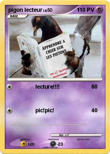 Pokemon pigon lecteur