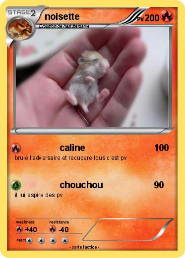 Pokemon noisette
