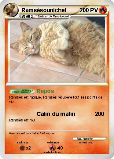 Pokemon Ramsèsounichet