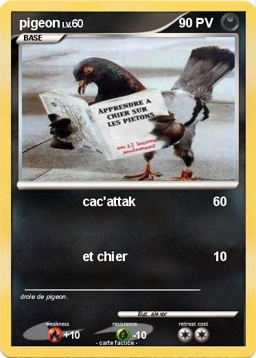 Pokemon pigeon