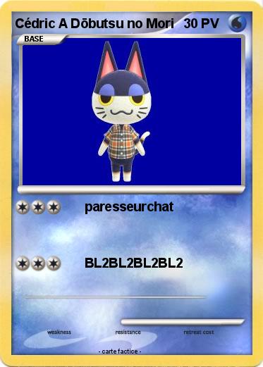 Pokemon Cédric A Dōbutsu no Mori