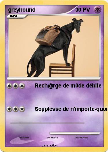 Pokemon greyhound