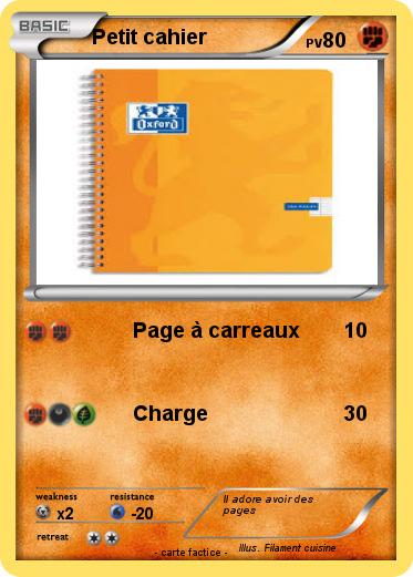 Pokemon Petit cahier
