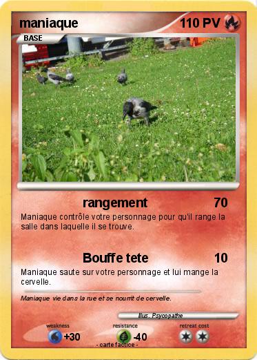 Pokemon maniaque