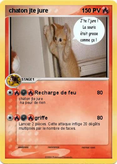 Pokemon chaton jte jure