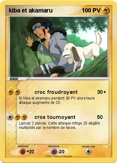 Pokemon kiba et akamaru