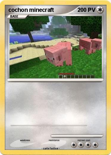 Pokemon cochon minecraft