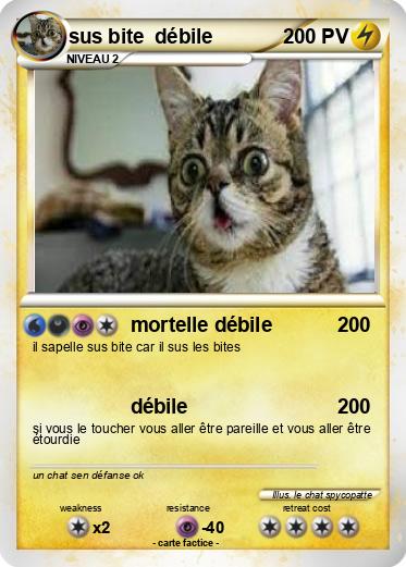 Pokemon sus bite  débile