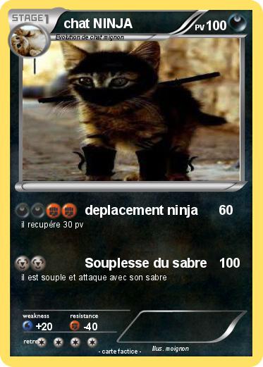 Pokemon chat NINJA