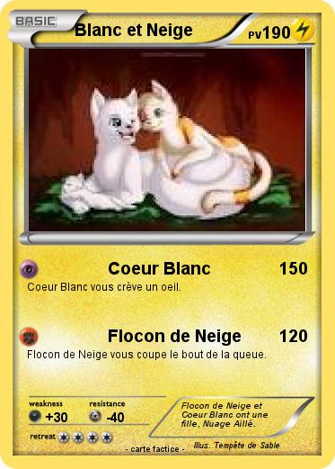 Pokemon Blanc et Neige