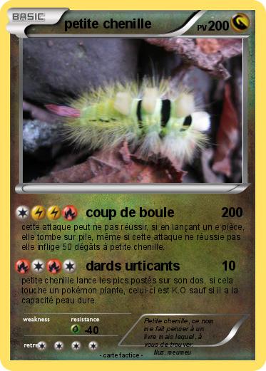 Pokemon petite chenille