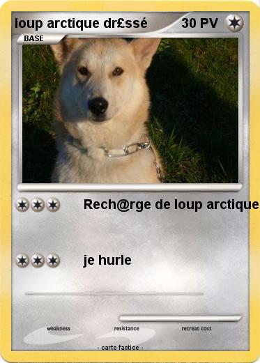 Pokemon loup arctique dr£ssé