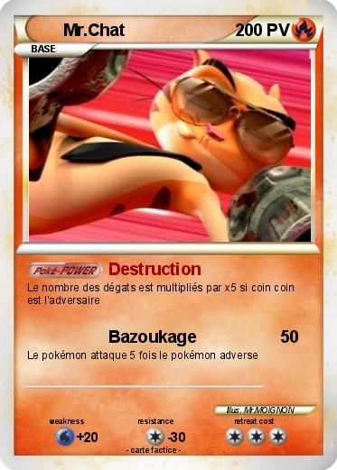 Pokemon Mr.Chat