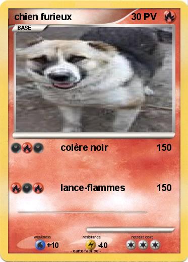 Pokemon chien furieux