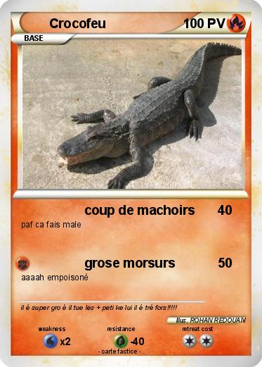 Pokemon Crocofeu