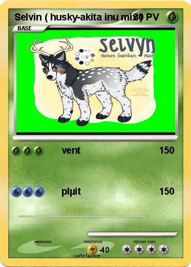 Pokemon Selvin ( husky-akita inu mix )