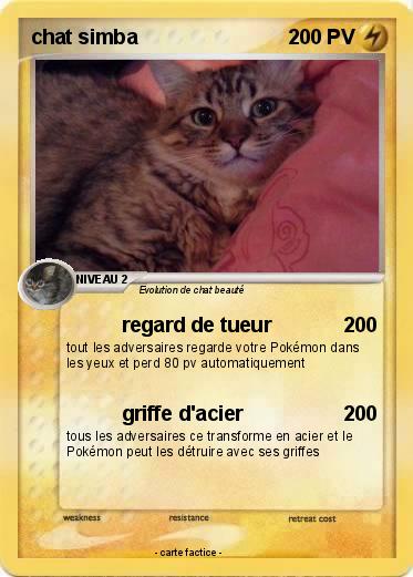 Pokemon chat simba