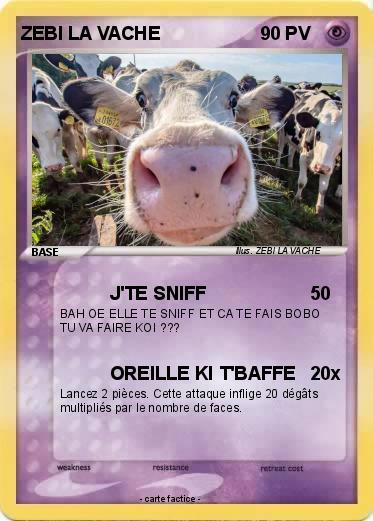 Pokemon ZEBI LA VACHE