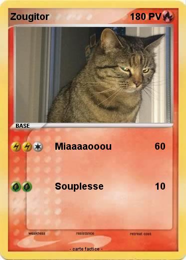 Pokemon Zougitor
