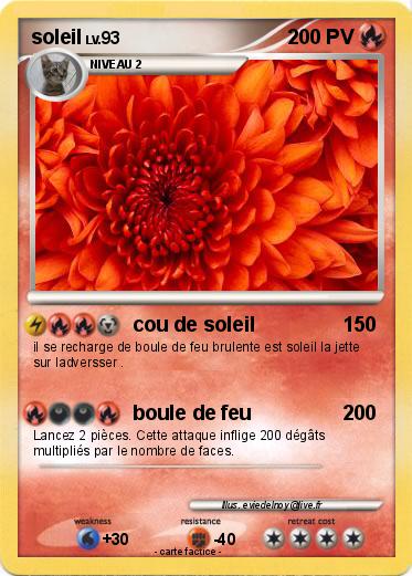 Pokemon soleil