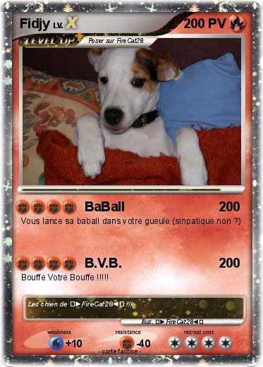Pokemon Fidjy