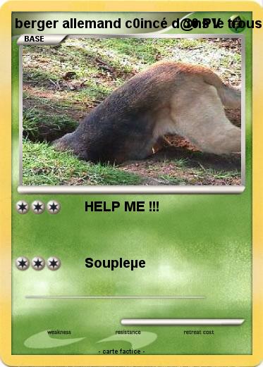 Pokemon berger allemand c0incé d@ns le trous