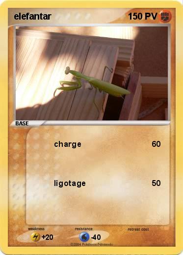 Pokemon elefantar