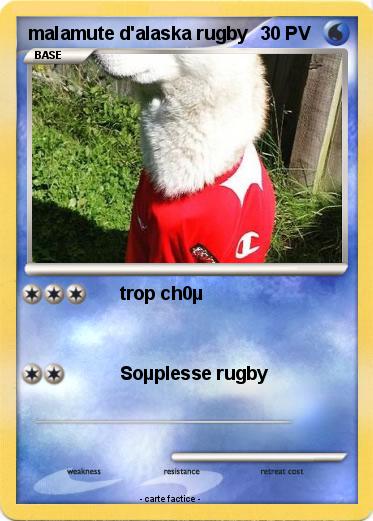 Pokemon malamute d'alaska rugby