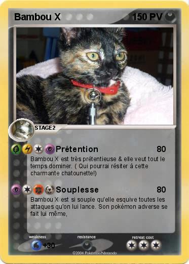 Pokemon Bambou X