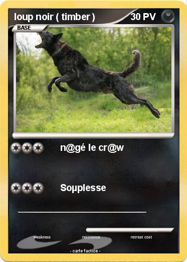 Pokemon loup noir ( timber )