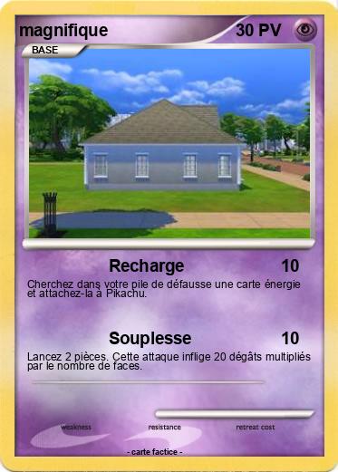 Pokemon magnifique
