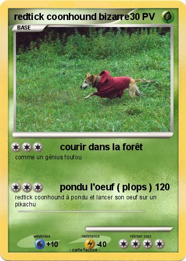 Pokemon redtick coonhound bizarre