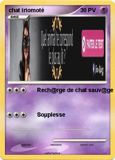 Pokemon chat iriomoté