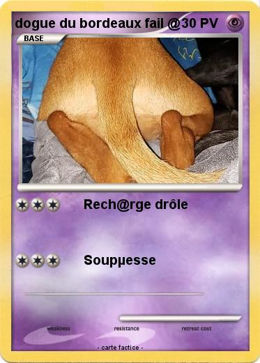 Pokemon dogue du bordeaux fail @