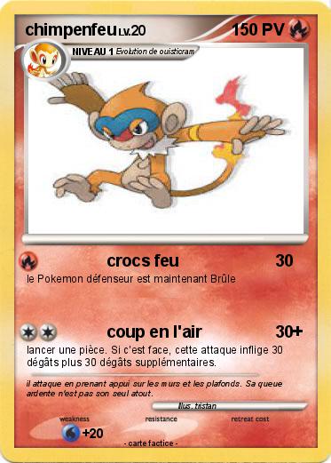 Pokemon chimpenfeu
