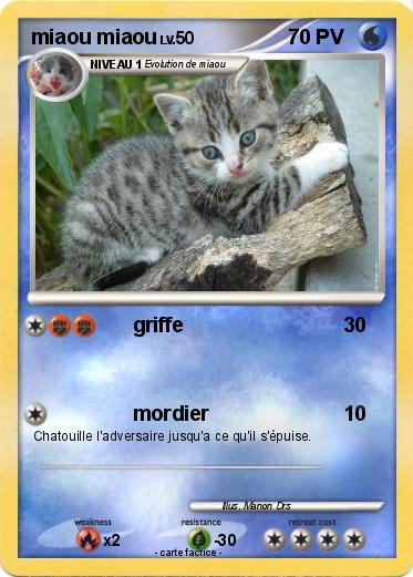 Pokemon miaou miaou